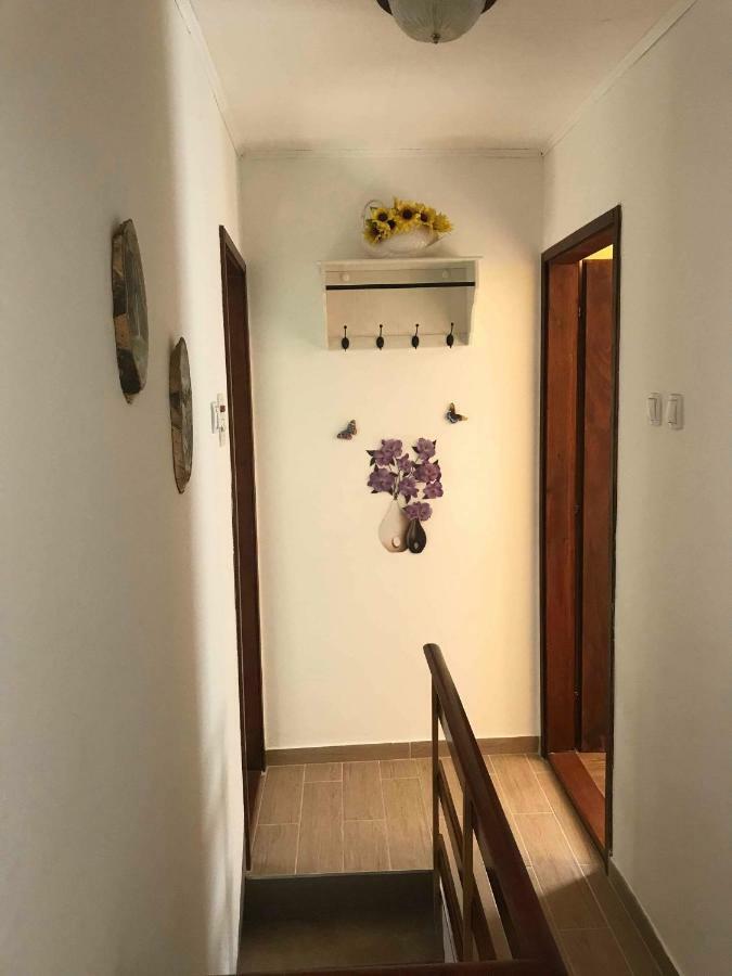 Zaga Apartma Evi מראה חיצוני תמונה