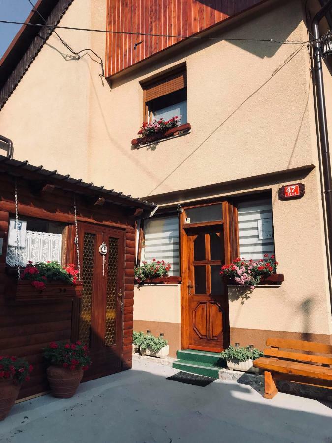 Zaga Apartma Evi מראה חיצוני תמונה