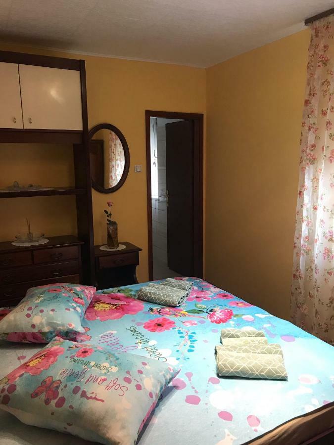 Zaga Apartma Evi מראה חיצוני תמונה