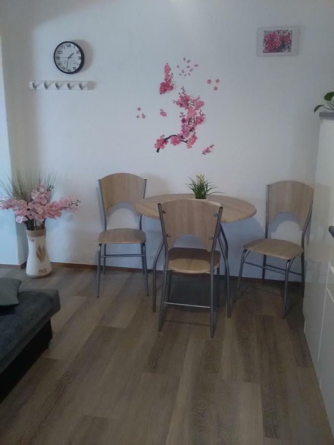 Zaga Apartma Evi מראה חיצוני תמונה